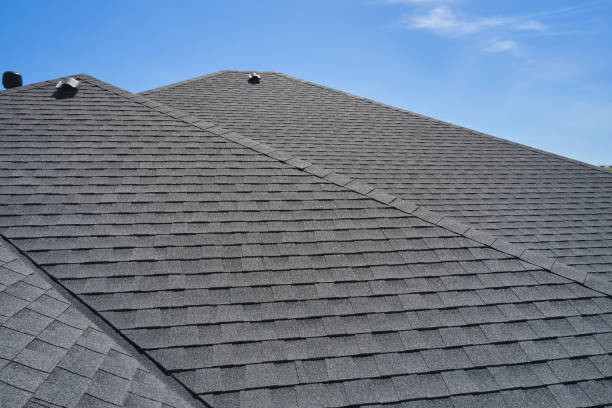 Best Roof Coating and Sealing  in Nneconne, WI